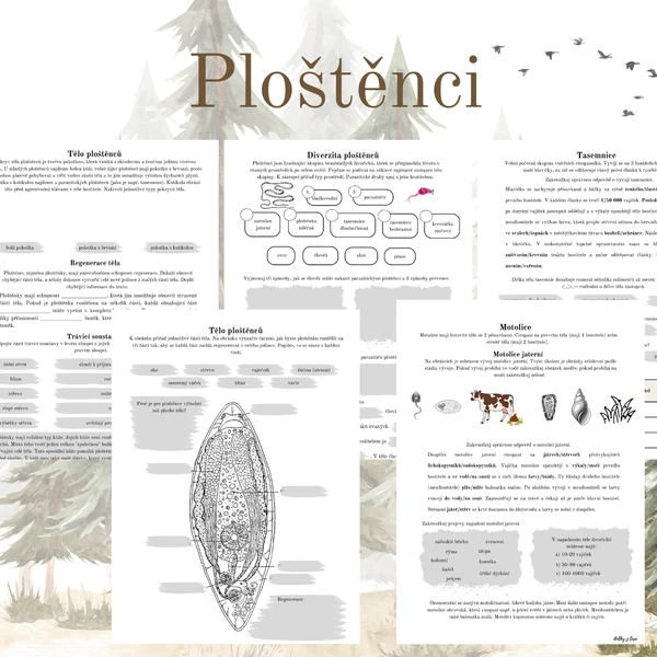 Ploštěnci