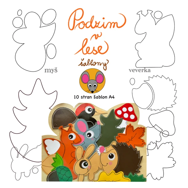 Podzim v lese