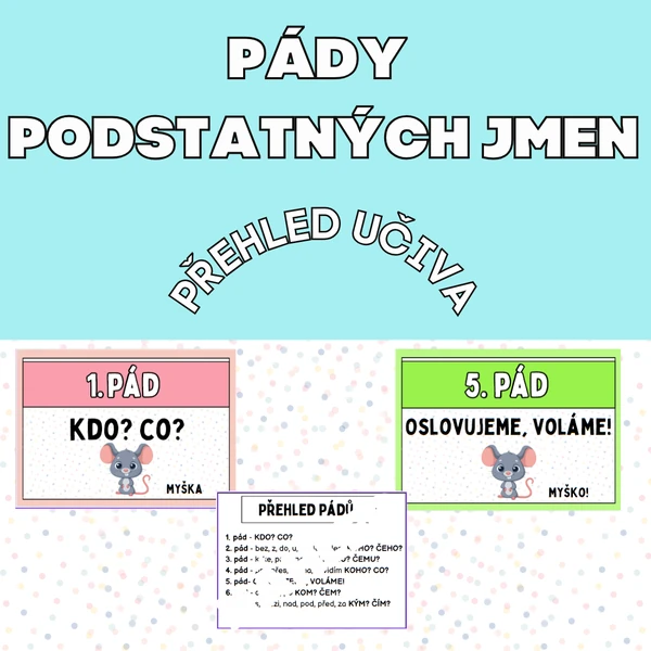 Pády podstatných jmen - přehled učiva 