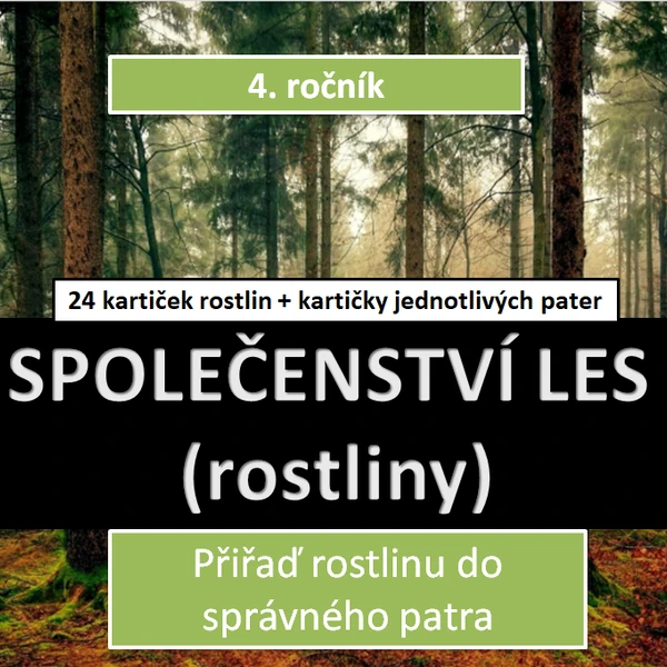 Společenství les (rostliny)