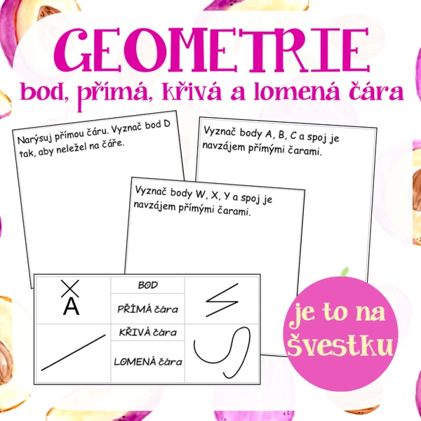 Geometrie - bod, přímá, křivá a lomená čára