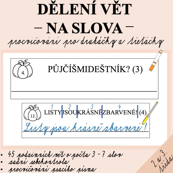 DĚLENÍ VĚT NA SLOVA