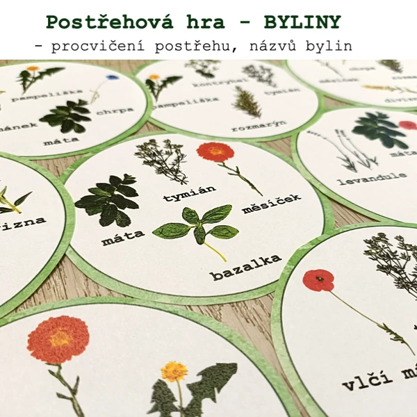 Postřehová hra - Byliny
