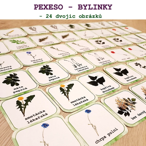Pexeso - Bylinky