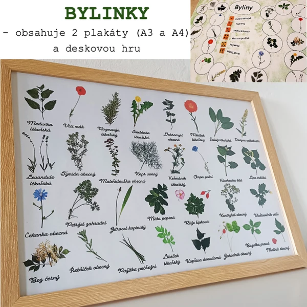 Plakáty a desková hra - BYLINKY