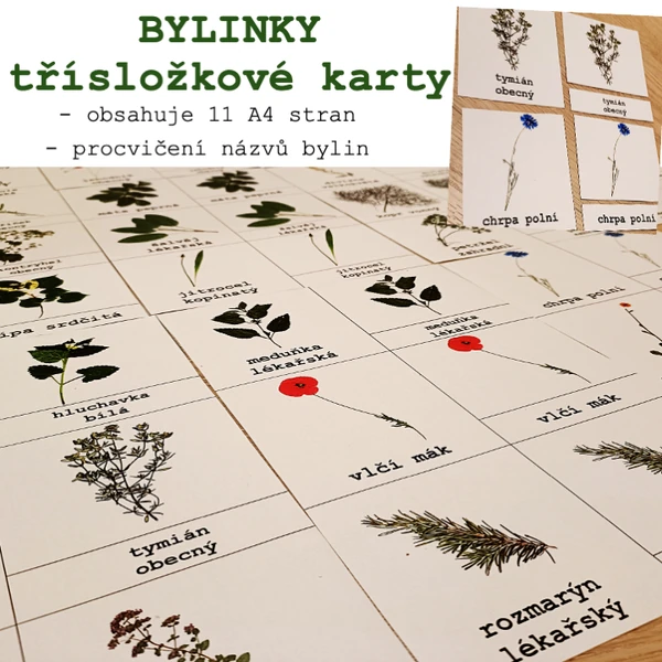 Třísložkové karty - bylinky, rostlinky