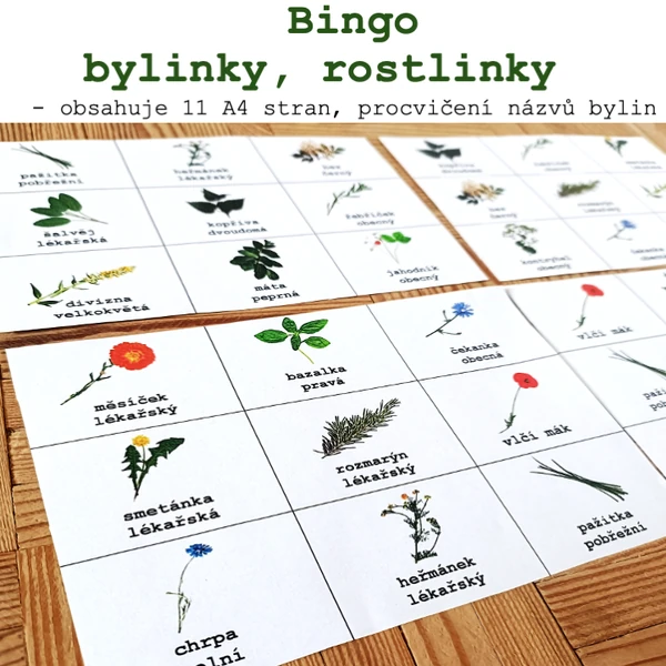 Bingo - bylinky, rostlinky