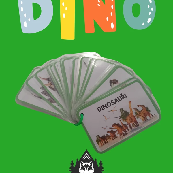 Dinosaur- demonstrační karty