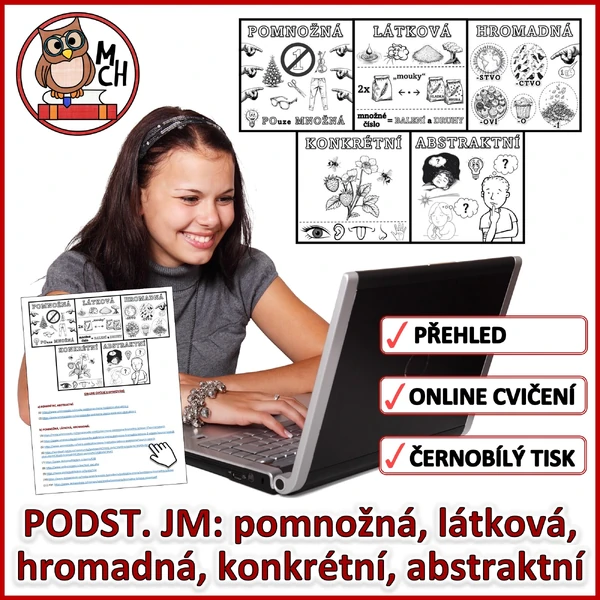 PŘEHLED: PJ konkrétní, abstraktní, pomnožná, látková, hromadná