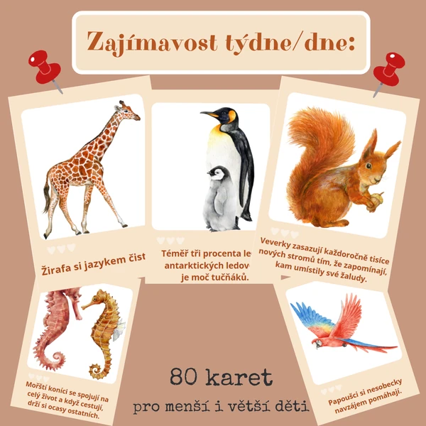 Zajímavost týdne / dne - zvířata