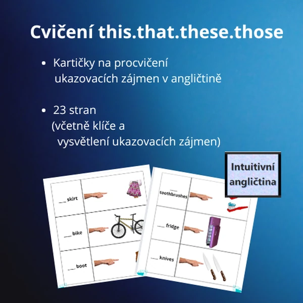 Cvičení THIS.THAT.THESE.THOSE