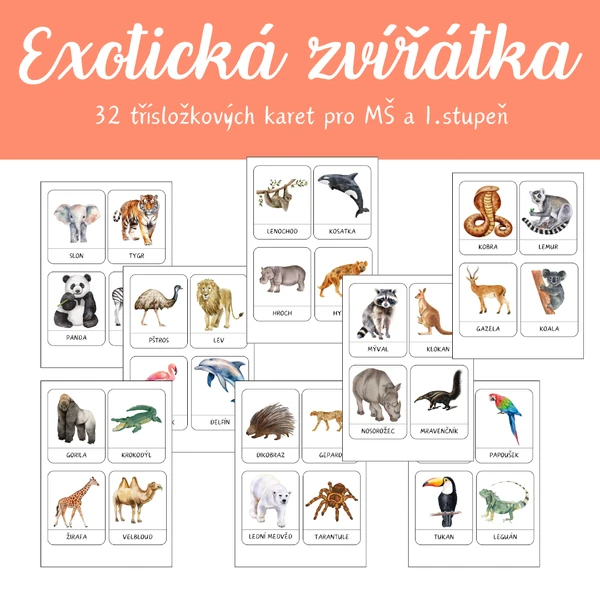 Třísložkové karty - CIZOKRAJNÁ ZVÍŘÁTKA