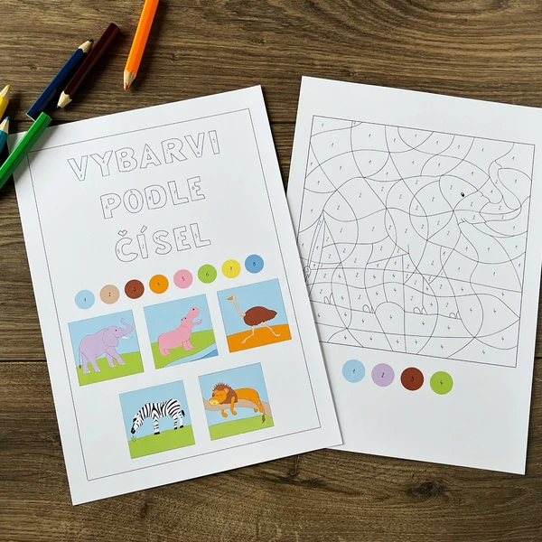 Vybarvování podle čísel africká zvířata, PDF