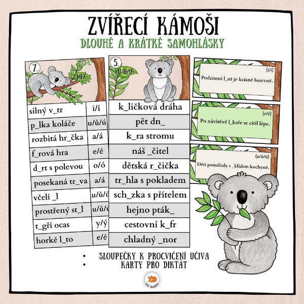 Krátké a dlouhé samohlásky - Zvířecí kámoši