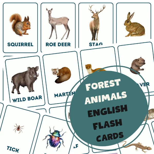 FOREST ANIMALS - English flash cards