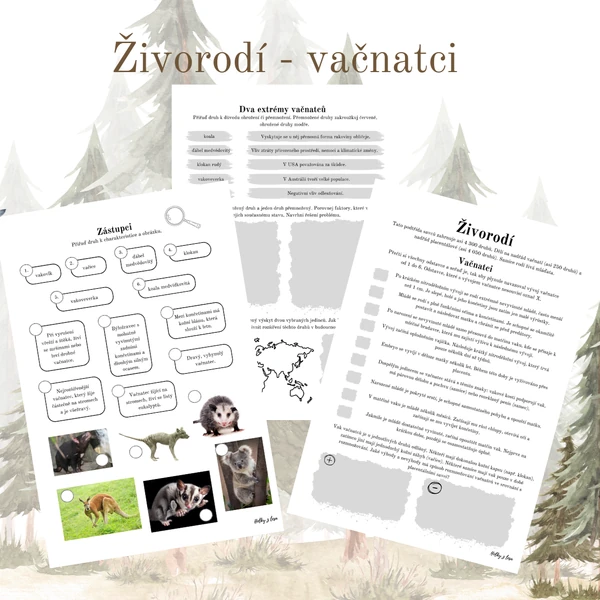 Živorodí - vačnatci