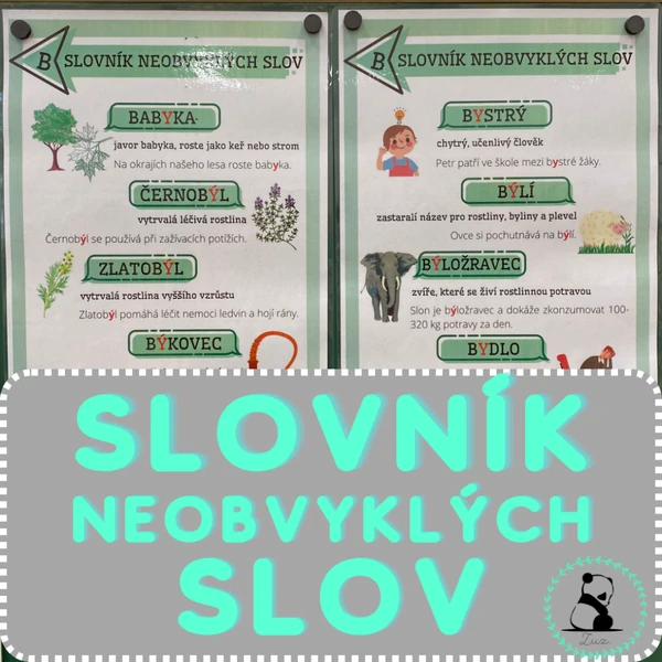 Neobvyklá vyjmenovaná slova