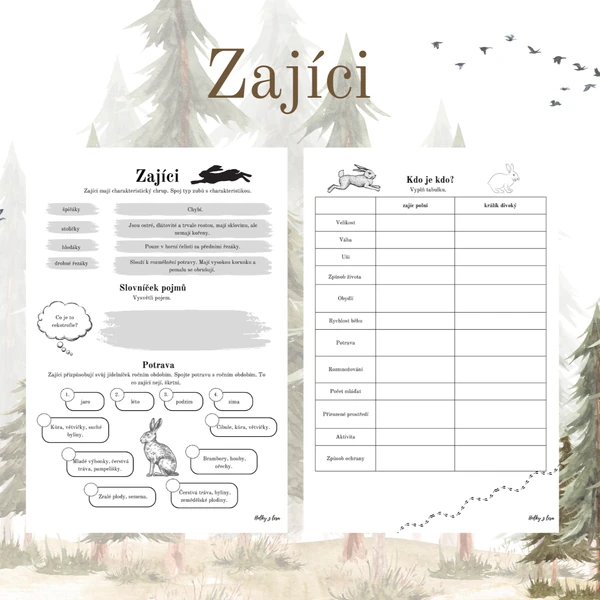 Zajíci