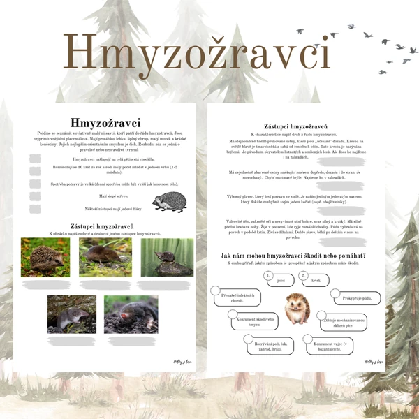 Hmyzožravci