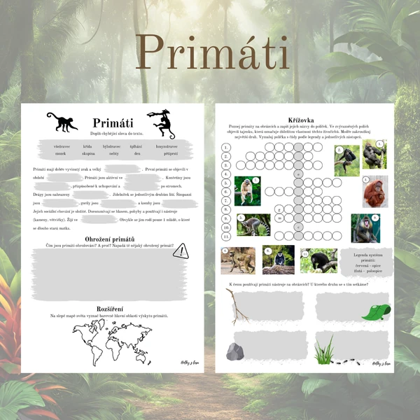 Primáti