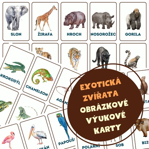 Exotická zvířata ze ZOO - obrázkové výukové karty