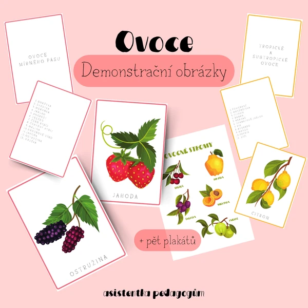 Ovoce - demonstrační obrázky