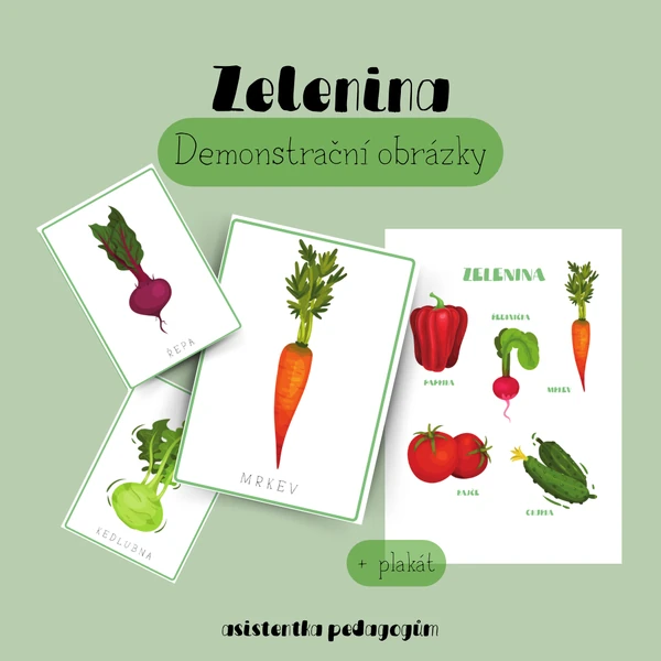 Zelenina - demonstrační obrázky