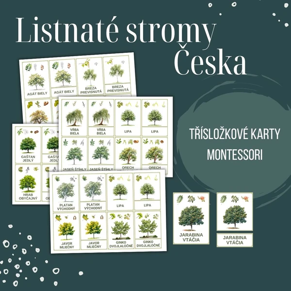 Listnaté Stromy - Třísložkové karty (Montessori)
