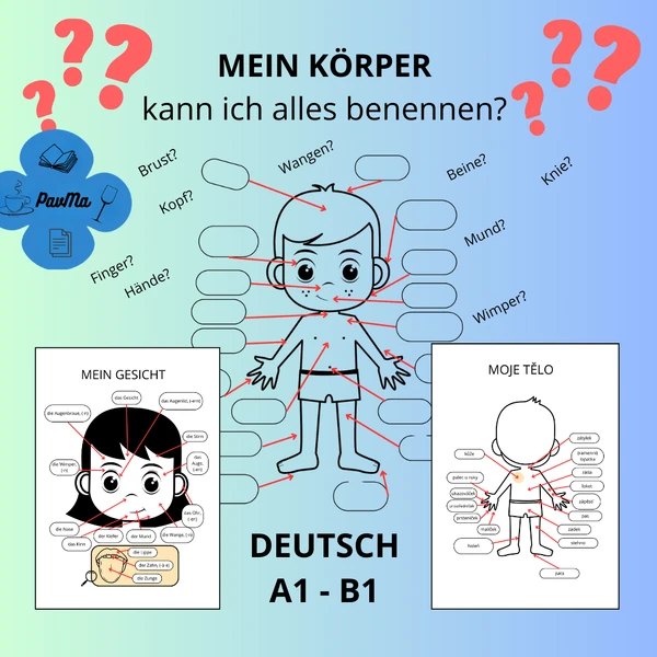 Mein Körper DEUTSCH Doplň části těla Pracovní list