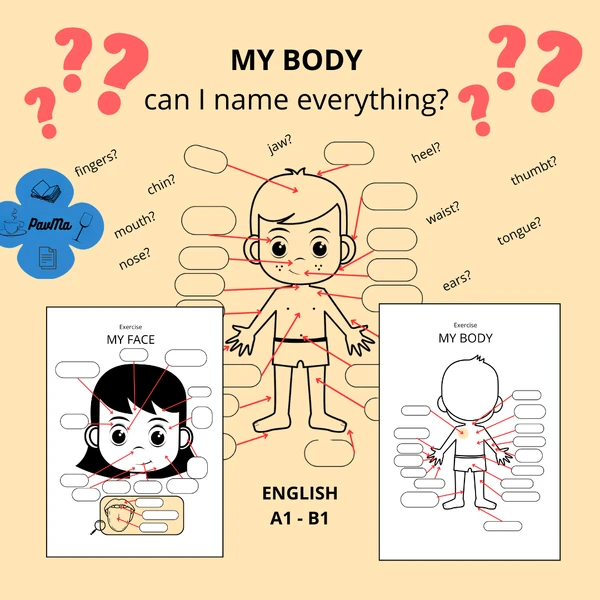 My body ENGLISH Doplňovačka lidské tělo