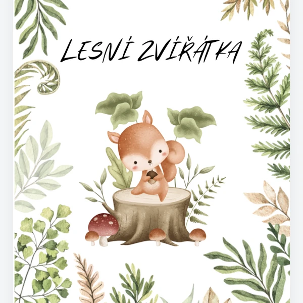 Lesní zvířátka