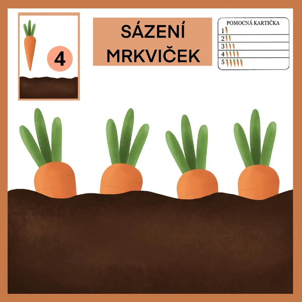 Sázení mrkviček