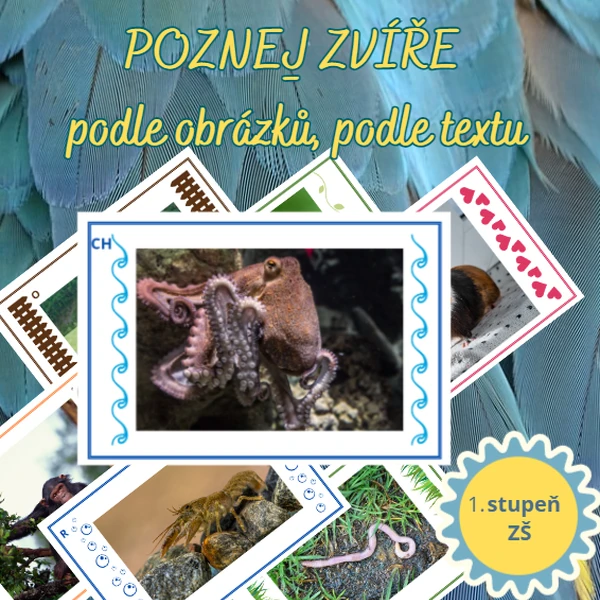 Poznej zvíře žijící v moři a oceánu