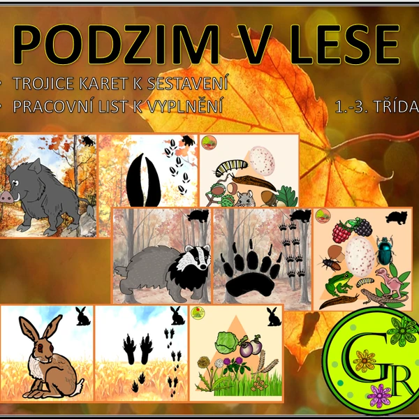 PODZIM V LESE - ŽIVOČICHOVÉ