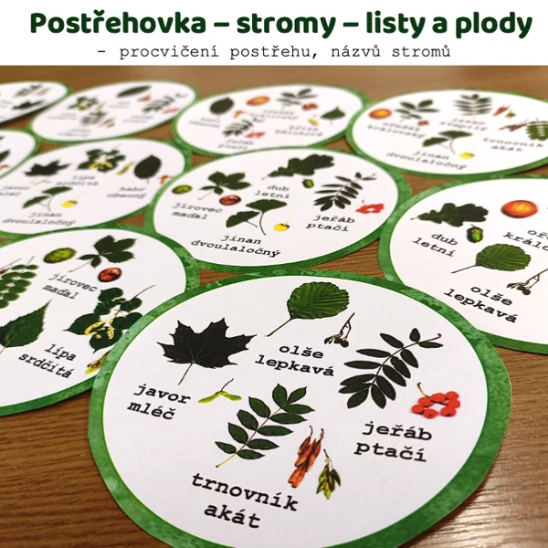 Postřehová hra - Stromy - listy a plody