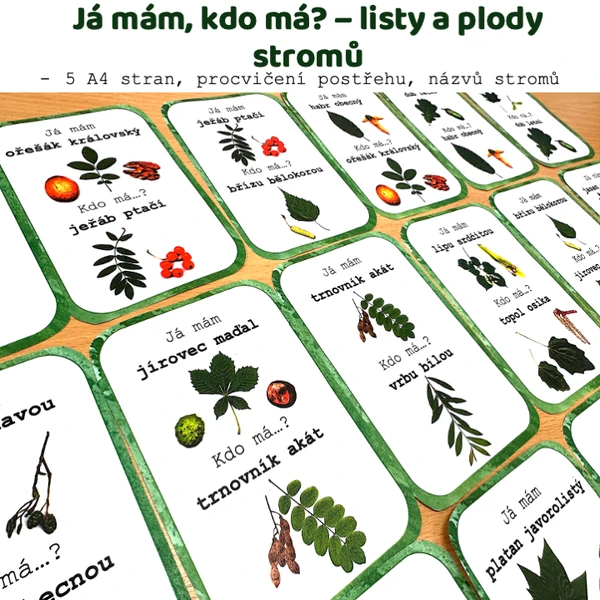 Já mám, kdo má? - Listy a plody stromů
