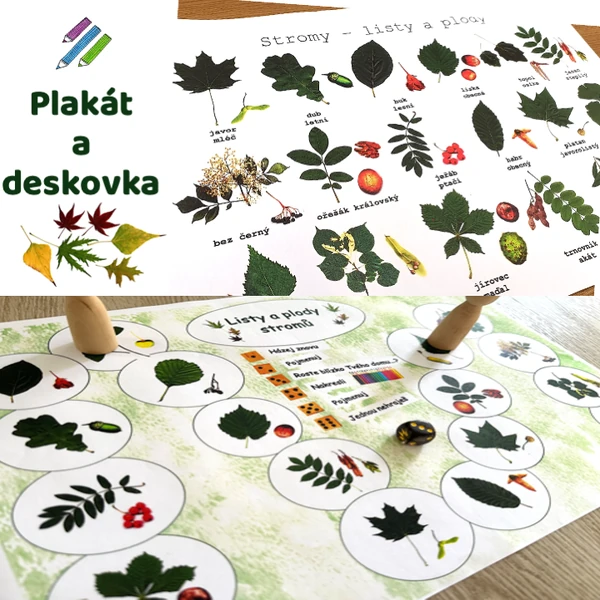 Plakát a desková hra - Listy a plody stromů
