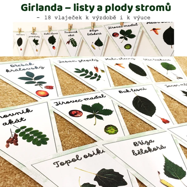 Girlanda - stromy - listy a plody