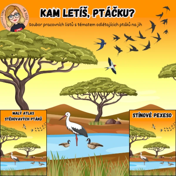 Kam letíš, ptáčku? 