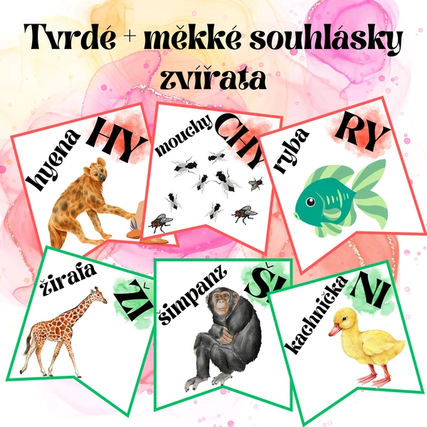 Tvrdé + měkké souhlásky - zvířata