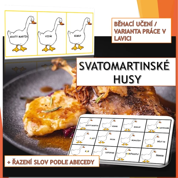 SVATOMARTINSKÉ HUSY 