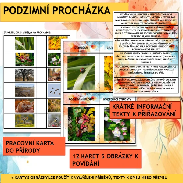 PODZIMNÍ PROCHÁZKA 