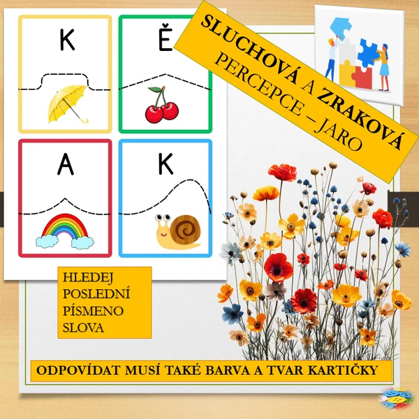 SLUCHOVÁ A ZRAKOVÁ PERCEPCE - JARO