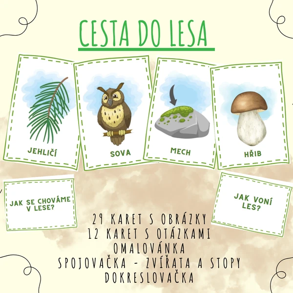 Cesta do lesa 