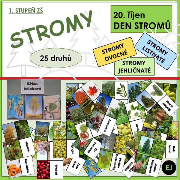 Stromy