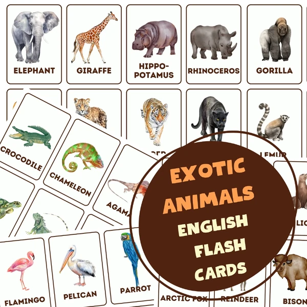 EXOTIC ANIMALS from the ZOO - English flash cards