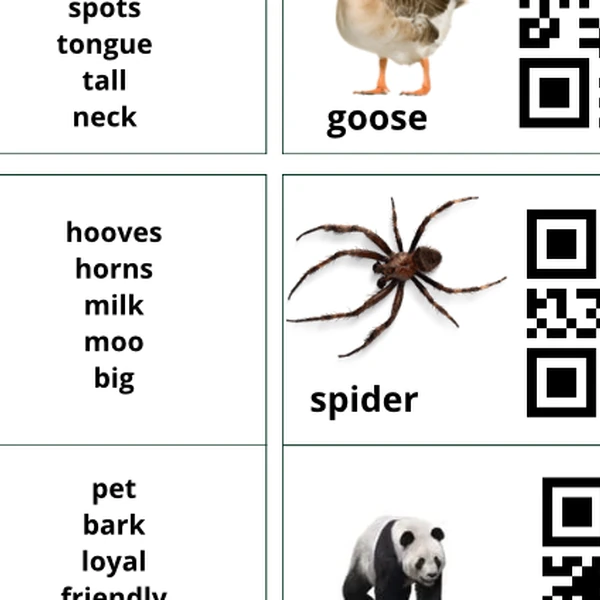 Animals + body parts