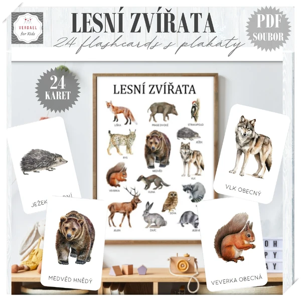 DEMONSTRAČNÍ KARTY S PLAKÁTEM LESNÍ ZVÍŘATA
