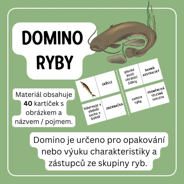 Domino ryby