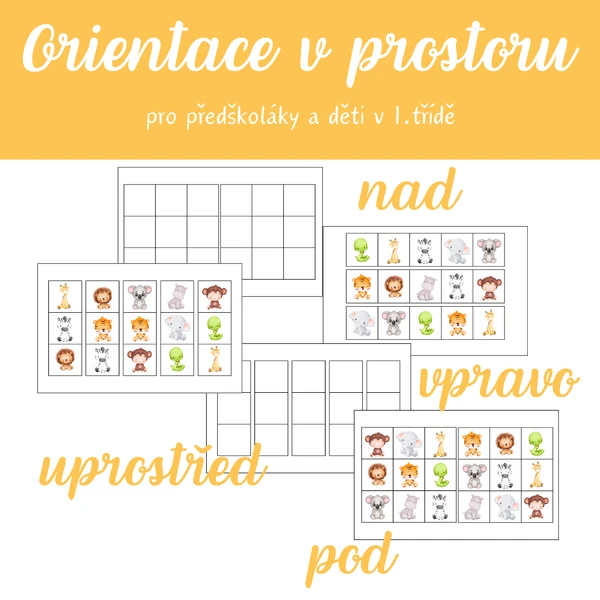 Prostorová orientace